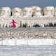 Illustration for article titled These alien-looking ice sculptures formed all on their own